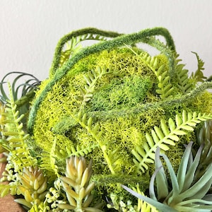 May include: A green moss ball with green and brown succulents and ferns in a wooden planter.
