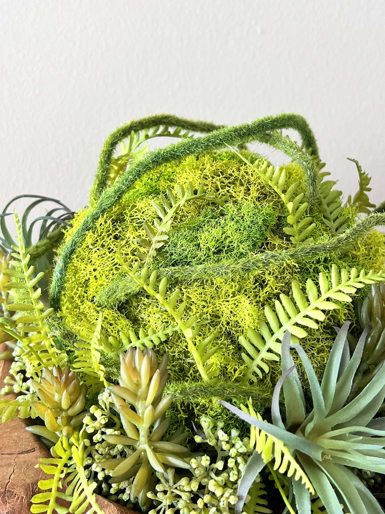May include: A green moss ball with green and brown succulents and ferns in a wooden planter.