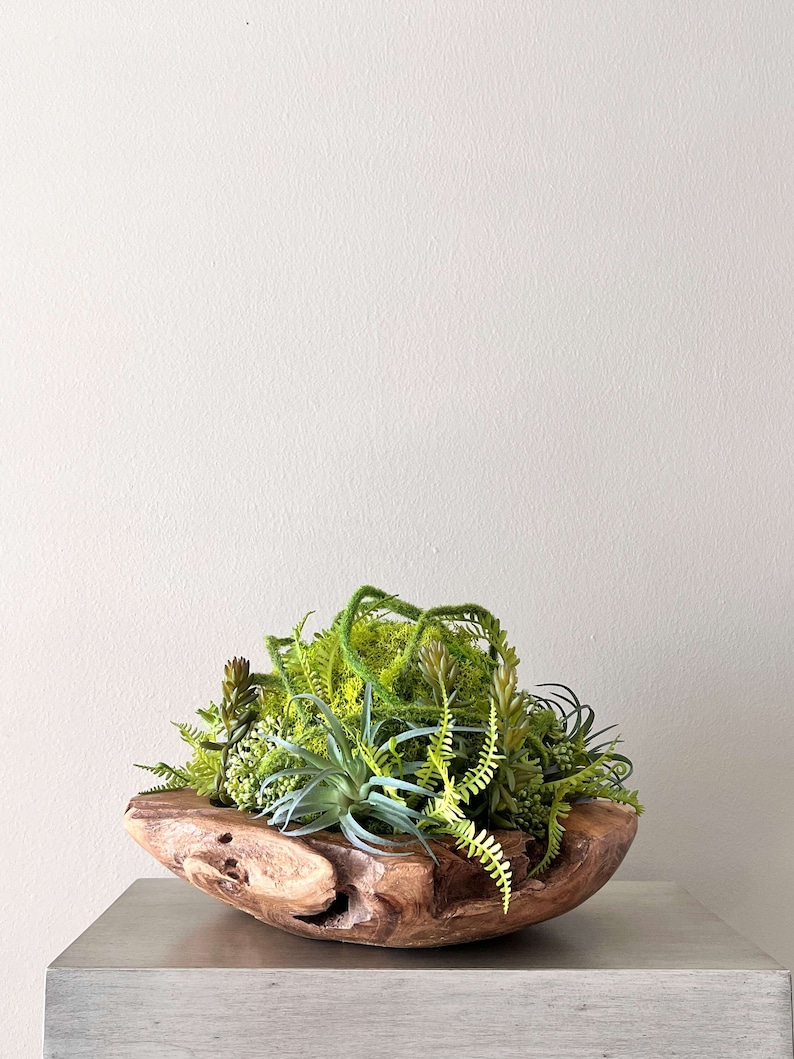 May include: A wooden bowl filled with a variety of green plants, including succulents, ferns, and moss. The bowl is sitting on a light gray surface.