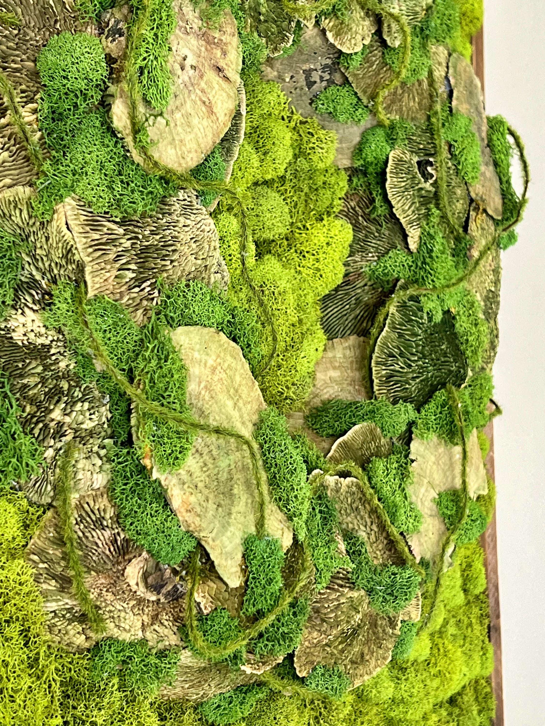 苔アート、手作りのプリザーブド苔壁画、ナチュラルな壁装飾 - Etsy 日本