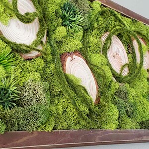 Wood Slice Moss Art, Preserved Moss Wall Art, Farmhouse Preserved Moss Picture, Vertical&Horizontal Frame, Natural Wood Frame