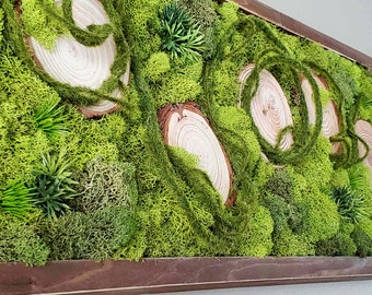 Wood Slice Moss Art, Preserved Moss Wall Art, Farmhouse Preserved Moss Picture, Vertical&Horizontal Frame, Natural Wood Frame
