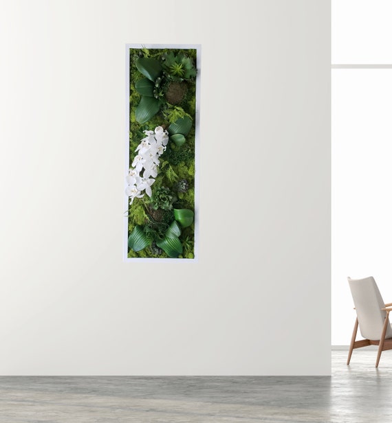 Orchid Wall Art, Faux Succulents Moss Art, White/black/gold Frames
