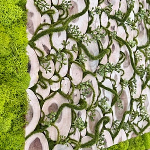 Moss Wall Art, Wood Wall Hanging Decor, Handmade Preserved Moss Art