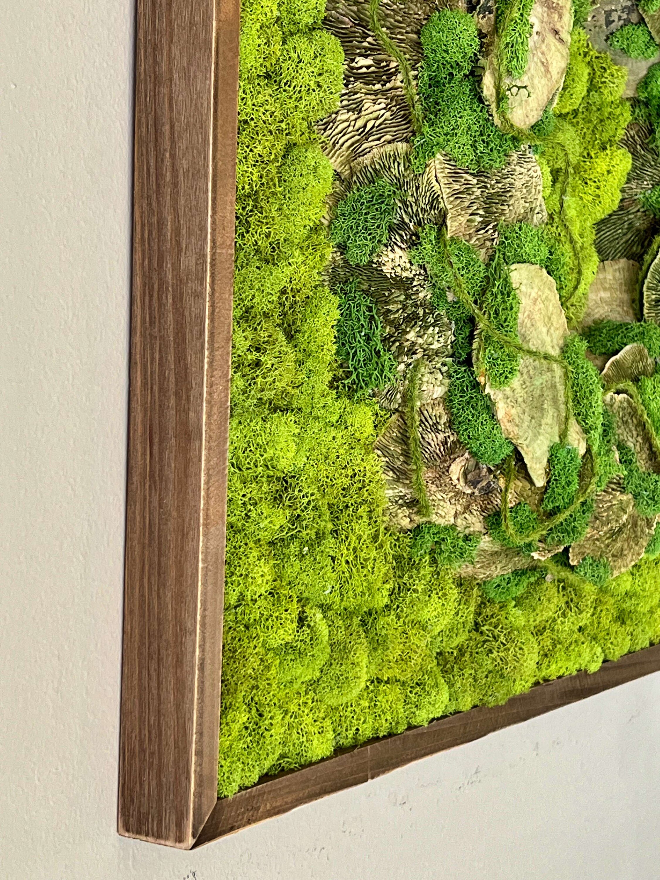 苔アート、手作りのプリザーブド苔壁画、ナチュラルな壁装飾 - Etsy 日本