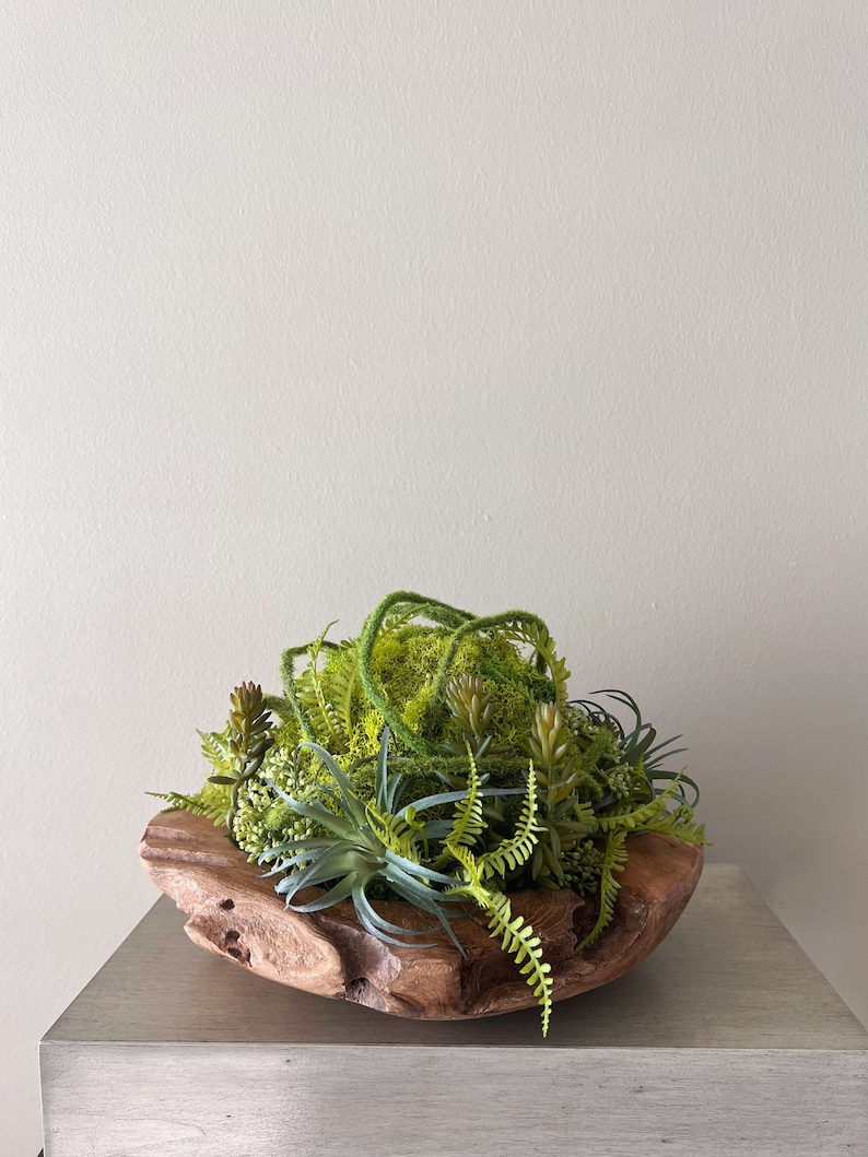 May include: A wooden bowl filled with a variety of green plants, including ferns, succulents, and moss. The bowl is made of natural wood and has a rustic, organic look.