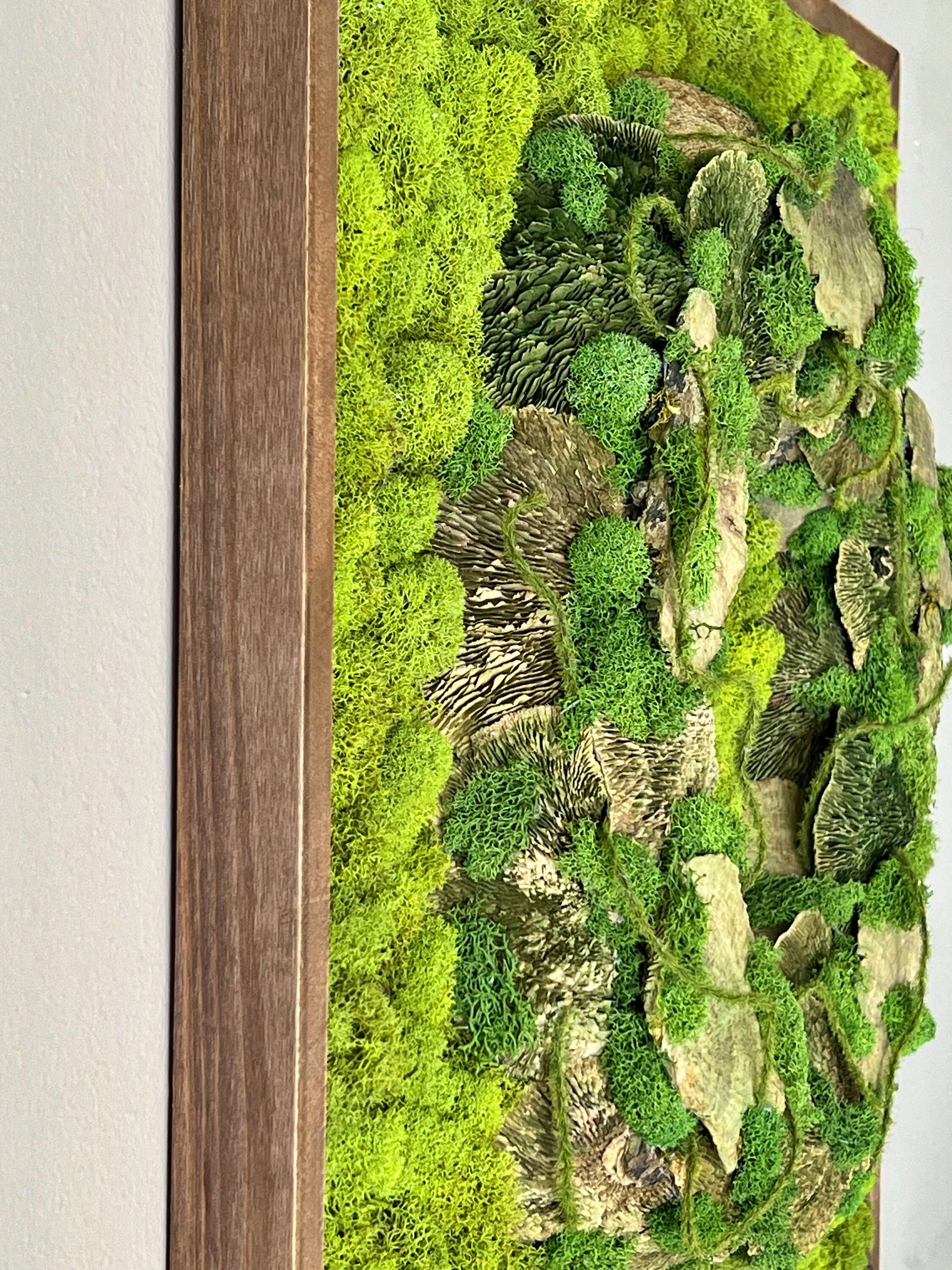 ❣️苔アート❣️苔壁ワイド❣️1点物❣️送料込み❣️ 苔アート、手作りのプリザーブド苔壁画、ナチュラルな壁装飾 - Etsy 日本