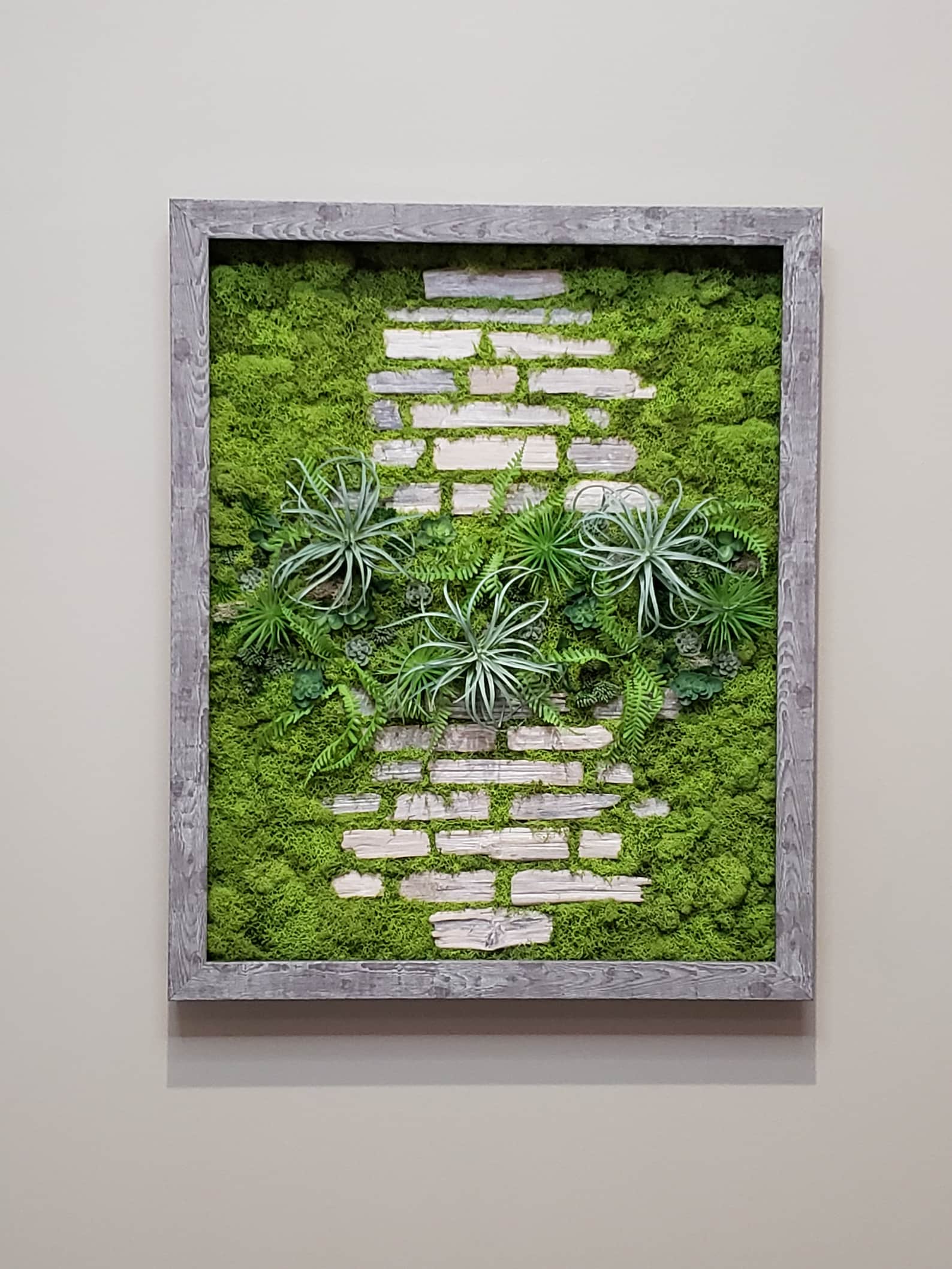 SET OF 3 Faux succulent moss wall art Handmade Preserved Moss Etsy