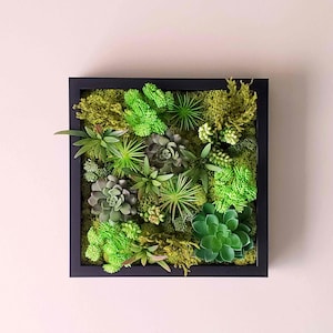 Handmade 10.5&quot;x10.5&quot; Faux Succulent Moss Wall Art, Preserved Moss Wall Picture, Moss Picture Black/White frame, Hanging&Standing Frame
