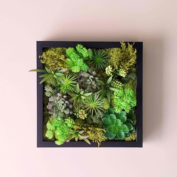 Handmade 10.5"x10.5" Faux Succulent Moss Wall Art, Preserved Moss Wall Picture, Moss Picture Black/White frame, Hanging&Standing Frame