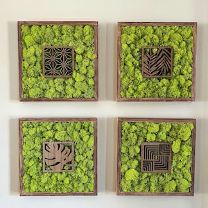 Moss wall art, Preserved moss art, Natural wood frame