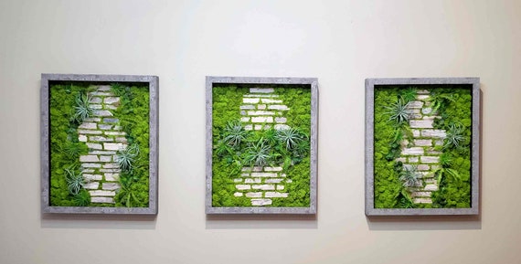 30 x 42 Moss Art with ornate white Frame – GrowUp Greenwalls