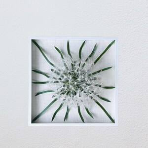 Dandelion flower wall art 3D, Modern white wall decoration 20.5"x20.5", Wall art framed image 6