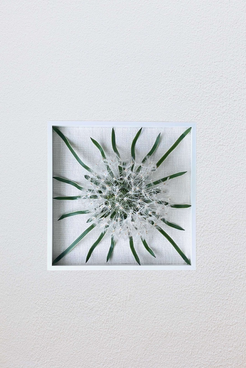 Dandelion flower wall art 3D, Modern white wall decoration 20.5"x20.5", Wall art framed image 6