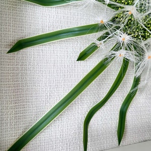 May include: A white and green floral arrangement with white feathery flowers and green leaves against a white textured background.