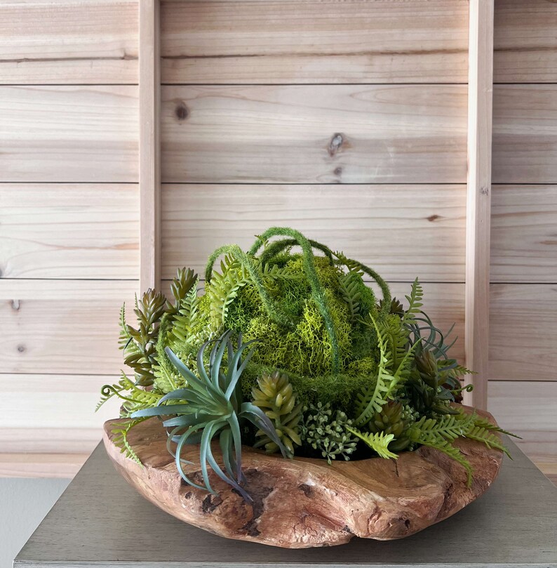 May include: A green moss ball with assorted succulents and ferns in a natural wood bowl. The bowl is rustic and has a unique shape.
