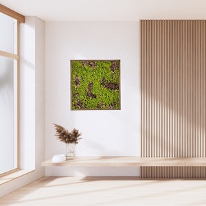 Moss wall decor, Mixed moss wall art, Moss art home decor 20x20inch