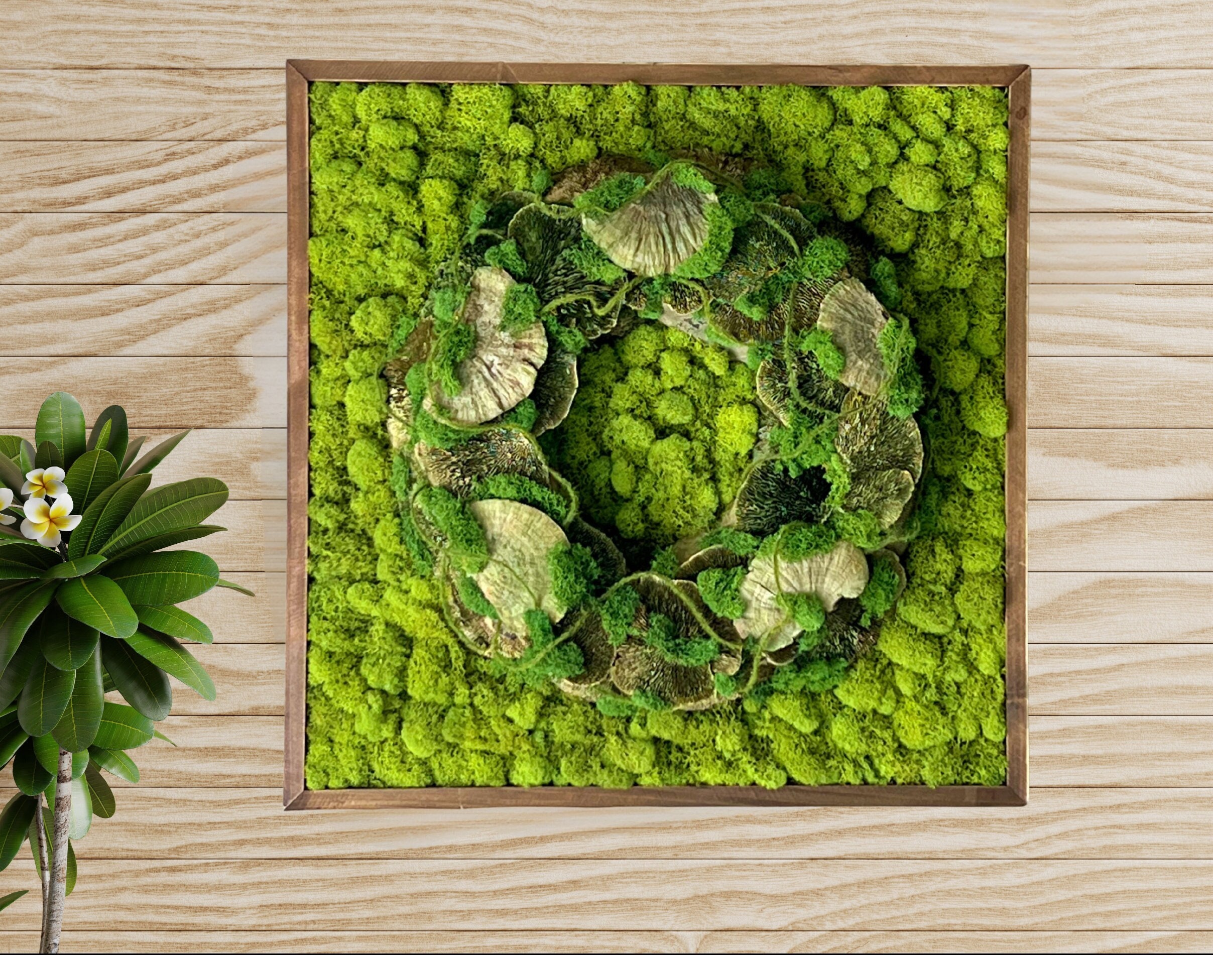 ❣️苔アート❣️苔壁ワイド❣️1点物❣️送料込み❣️ 楽天市場】苔アートの通販