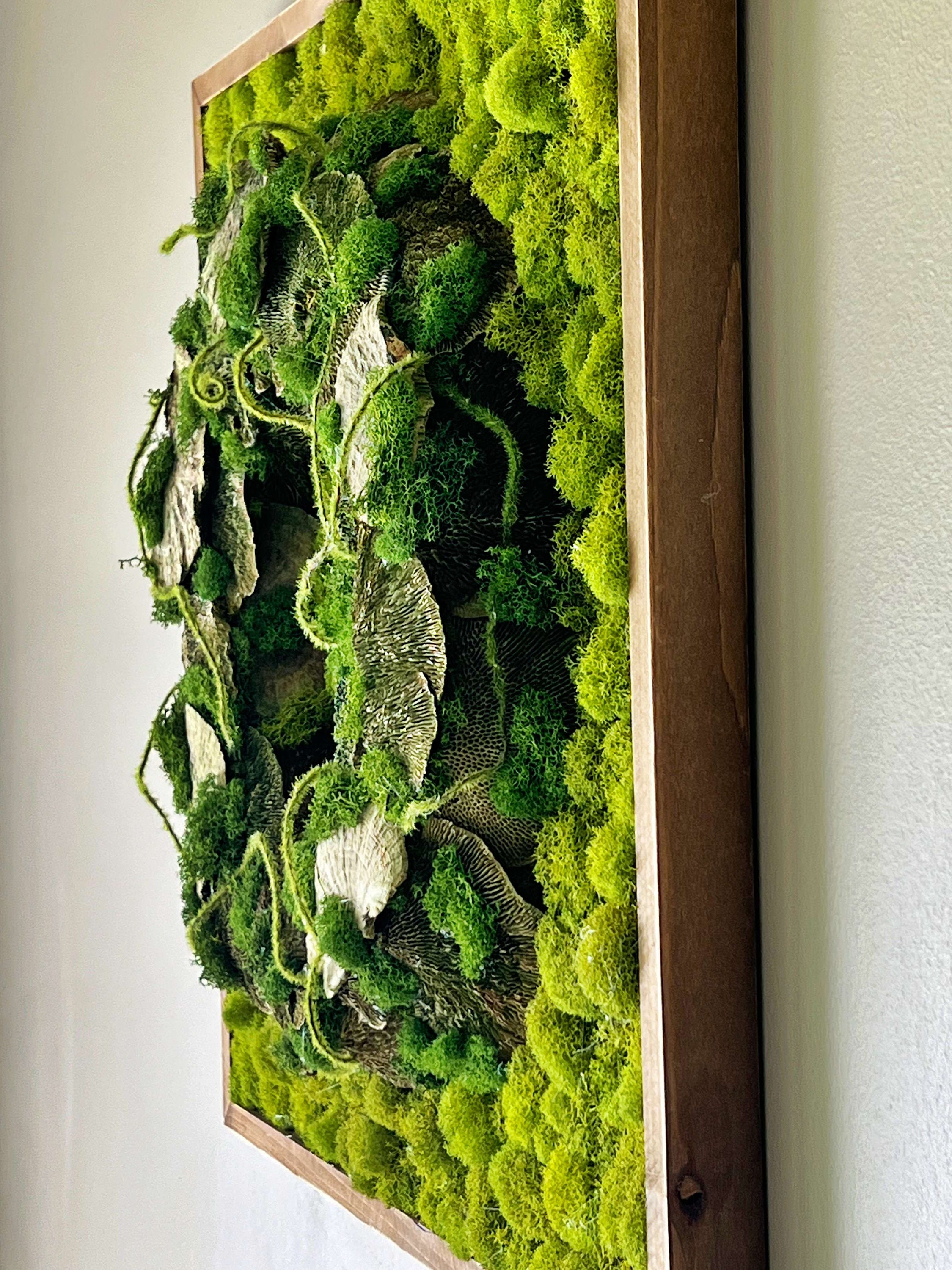 ❣️苔アート❣️苔壁ワイド❣️1点物❣️送料込み❣️ 苔アート、手作りのプリザーブド苔壁画、ナチュラルな壁装飾 - Etsy 日本