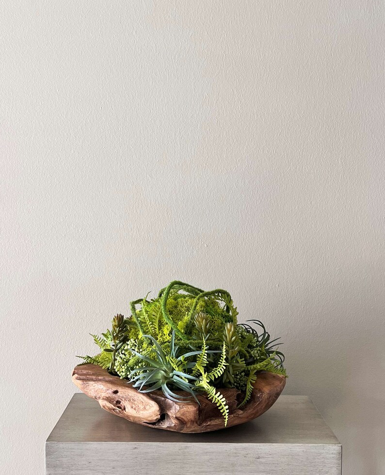 May include: A wooden bowl filled with a variety of green plants, including succulents and ferns. The bowl is sitting on a light gray surface.