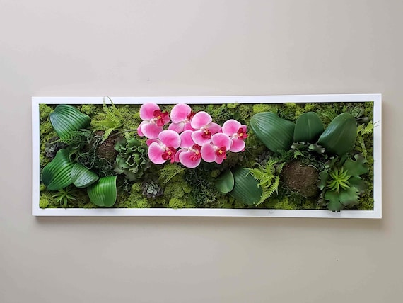 Succulent Moss Wall Art, Orchid Wall Art, Large Preserved Moss Art