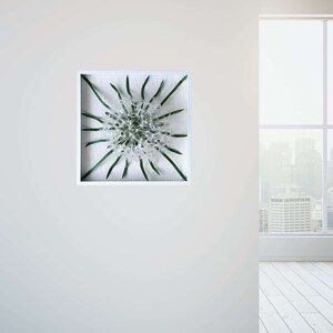 May include: A white framed picture with a green plant inside. The plant has white, feathery flowers and long, thin green leaves. The picture is hanging on a white wall.