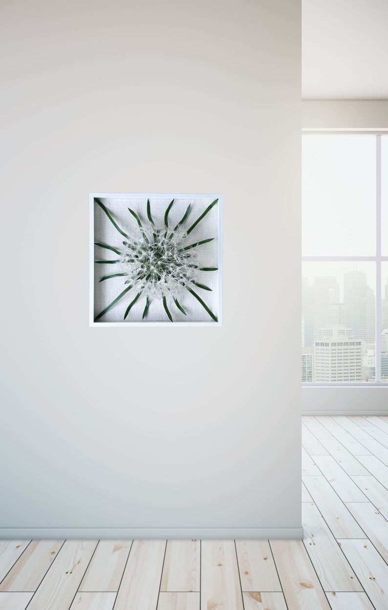May include: A white framed picture with a green plant inside. The plant has white, feathery flowers and long, thin green leaves. The picture is hanging on a white wall.