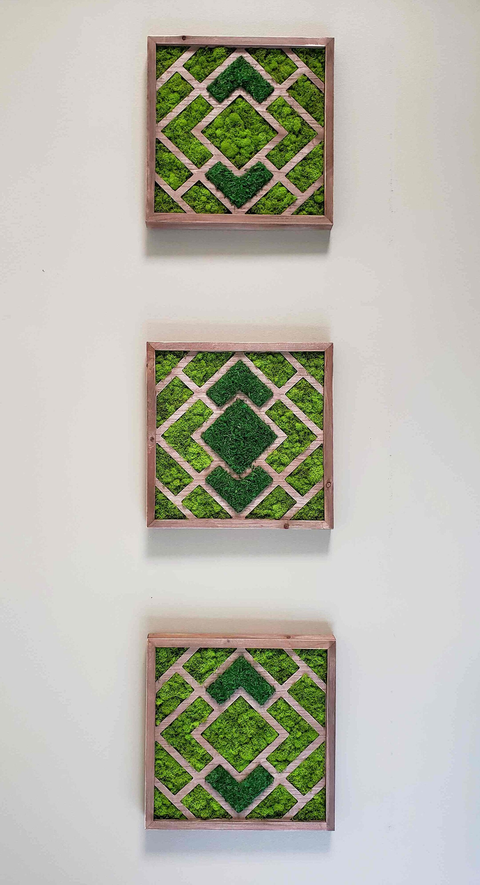 Moss Wall Art Wooden Wall Hanging Decor Set of 3 Natural Etsy