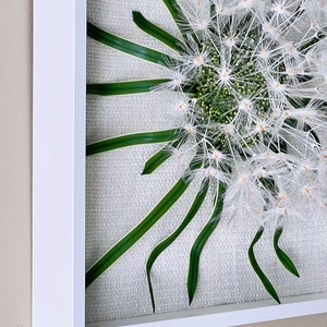 May include: A white framed wall art piece featuring a white dandelion with green leaves on a textured canvas background.