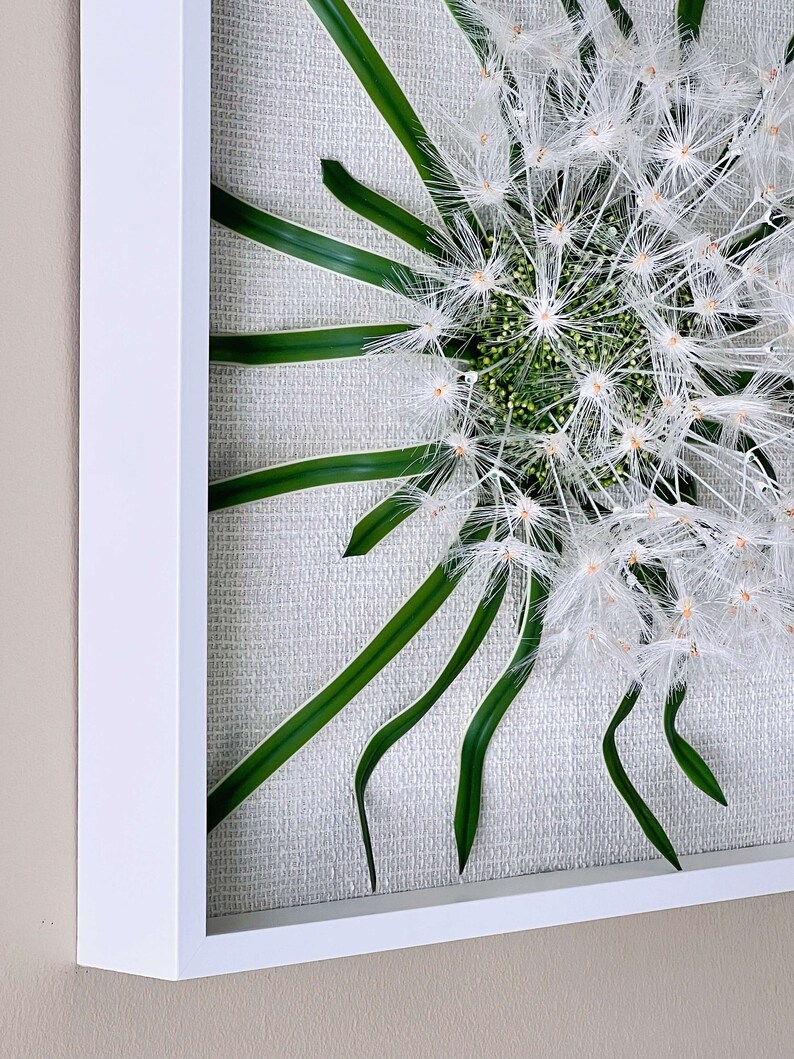 May include: A white framed wall art piece featuring a white dandelion with green leaves on a textured canvas background.