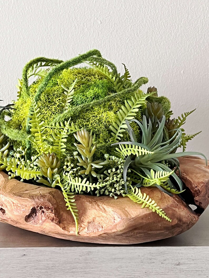 May include: A wooden bowl filled with a variety of green plants, including ferns, succulents, and moss.
