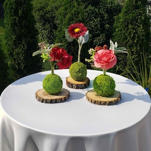 Rustic moss decoration, Wedding centerpiece,  moss ball,  Rustic home decor, Party center pieces for tables, Rustic wedding decor
