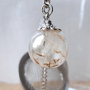 Könnte beinhalten: Eine silberne Kette mit einem Glaskugelpendant, der getrocknete Löwenzahnsamen enthält. Die Kugel hat eine silberne Kappe mit einem dekorativen Design.