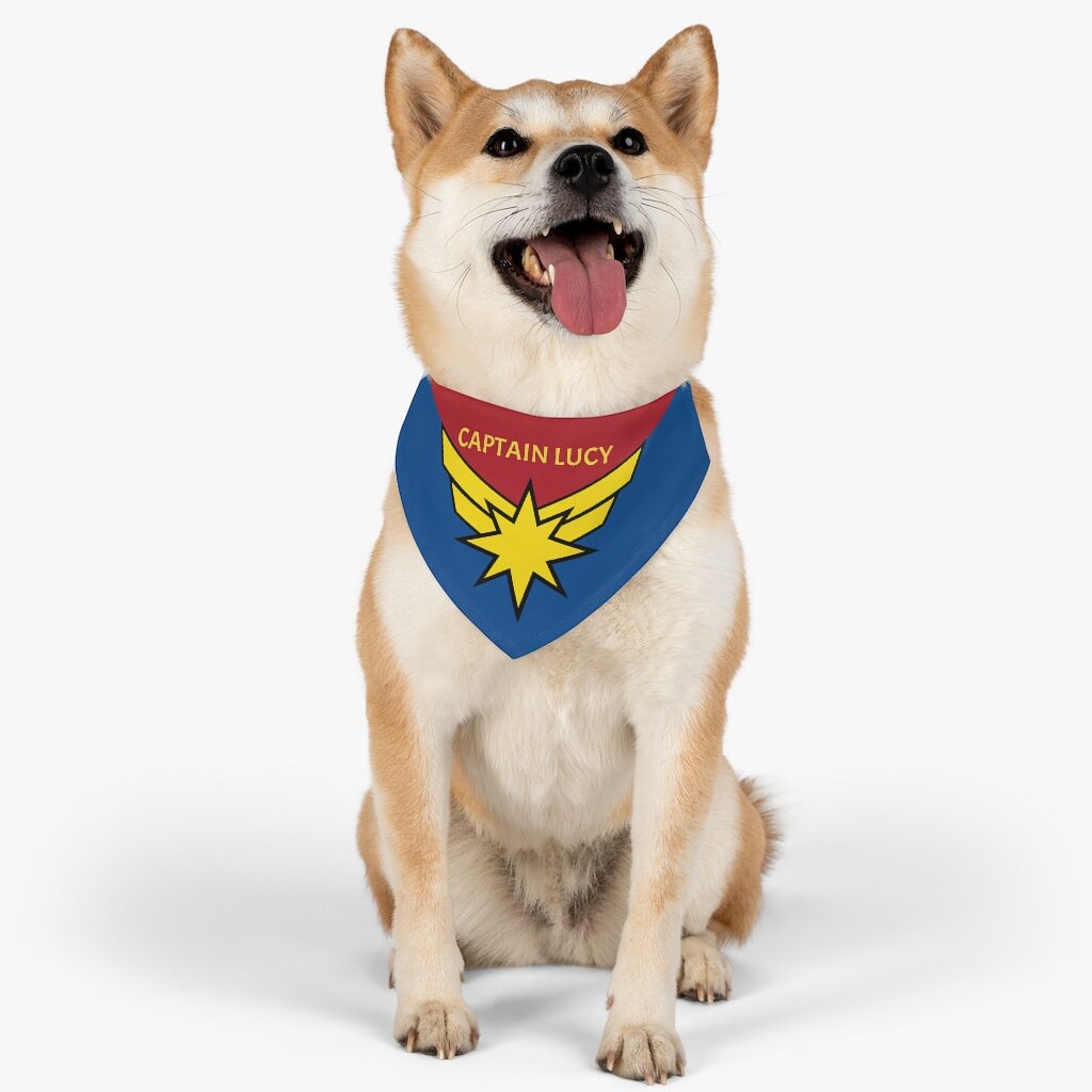 captain marvel dog collar