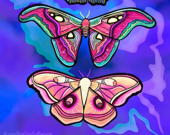 Lámina artística de polillas, ilustración de mariposas