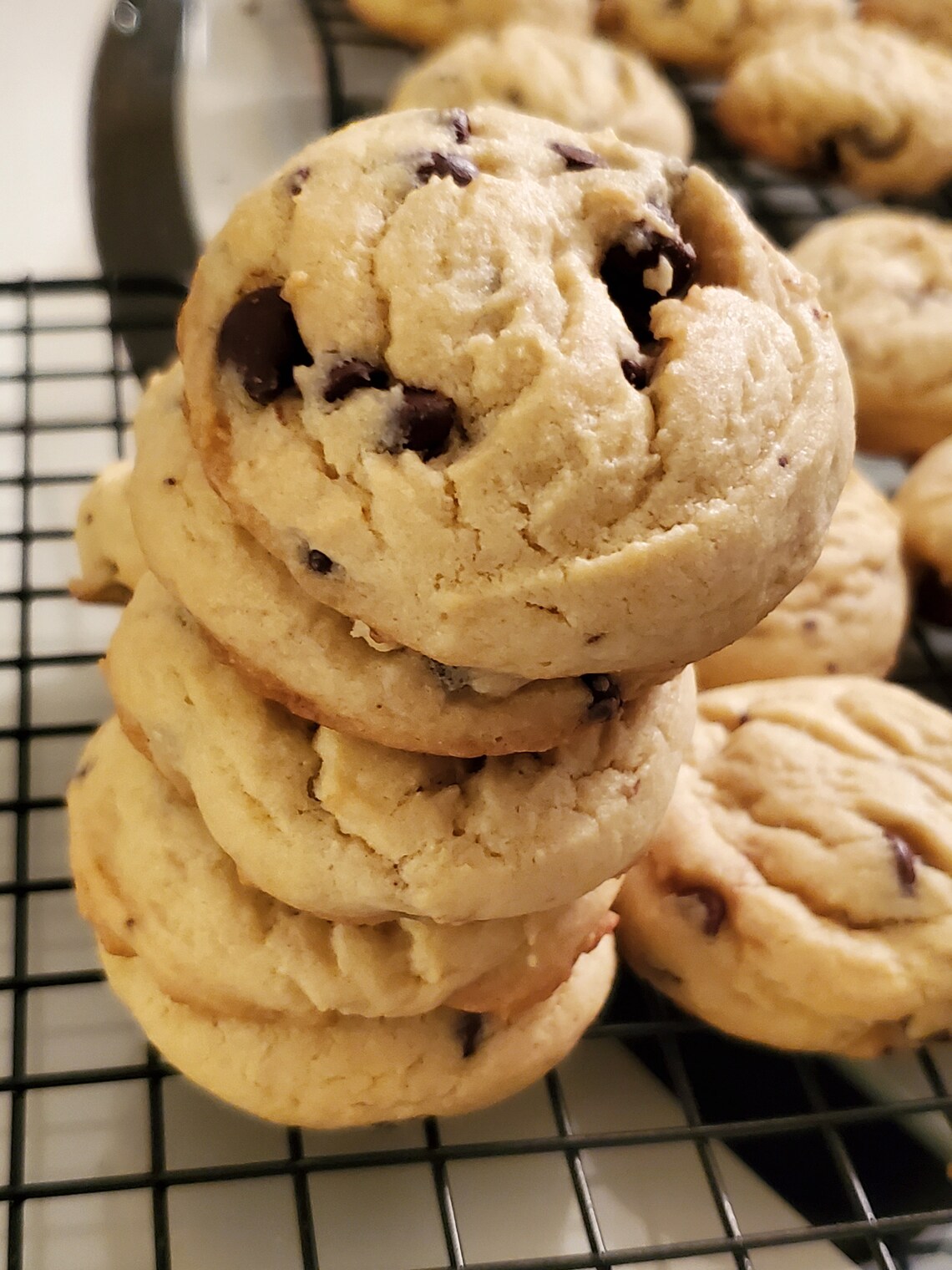 Award Winning Chocolate Chip Cookies Etsy