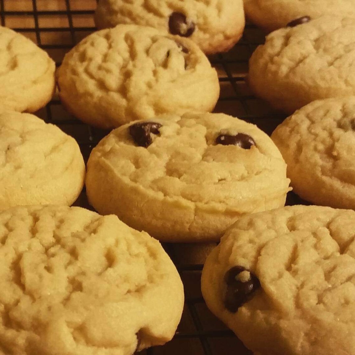 Award Winning Chocolate Chip Cookies Etsy