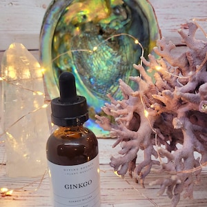 Ginkgo Tincture - 2 oz - (organic)