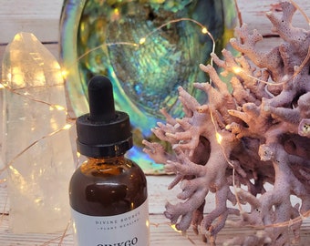 Ginkgo Tincture - 2 oz - (organic)