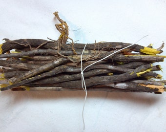 Yellowroot bundles dried herb Xanthorhiza simplicissima natural antibiotic, Appalachian remedy for bladder infection, digestion, tooth ache