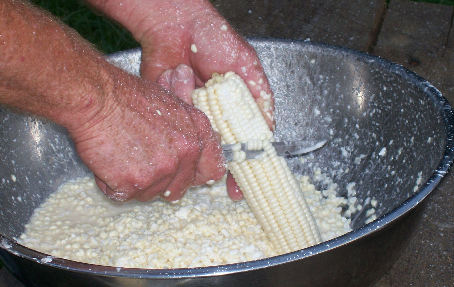 Heirloom Field Corn Seed, White Dent Corn, Hawkin's Prolific, Great for