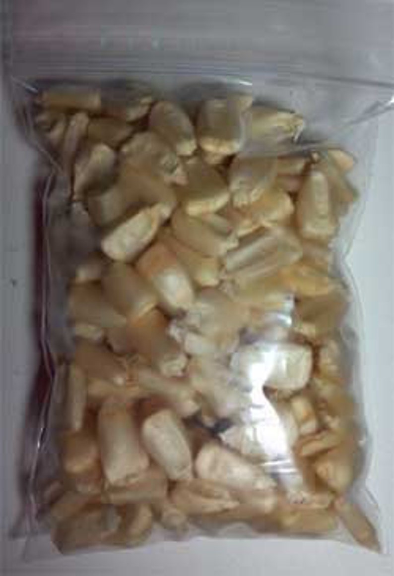 Heirloom Field Corn Seed, White Dent Corn, Hawkin's Prolific, Great for