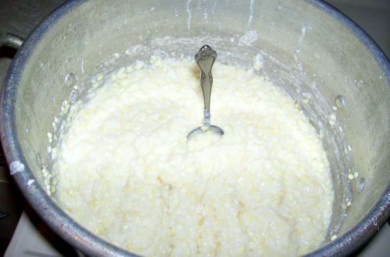 Heirloom Field Corn Seed, White Dent Corn, Hawkin's Prolific, Great for