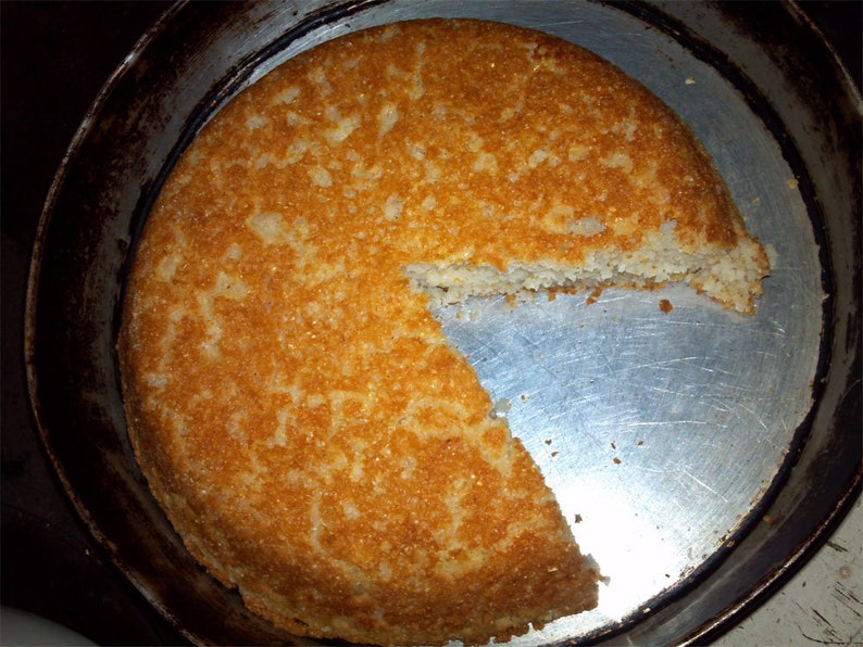 Heirloom Field Corn Seed, White Dent Corn, Hawkin's Prolific, Great for