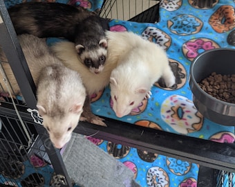 May include: Three ferrets in a cage with a blue and white donut patterned bedding. The ferrets are white, black and brown.