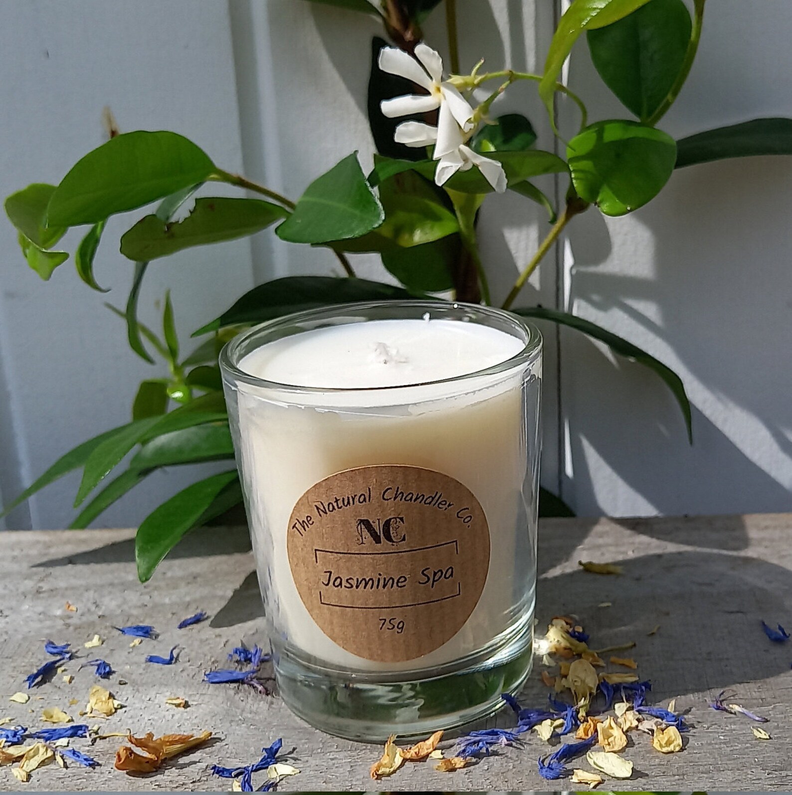Jasmine Scented Candle Essential Oil Aromatherapy Benefits Etsy