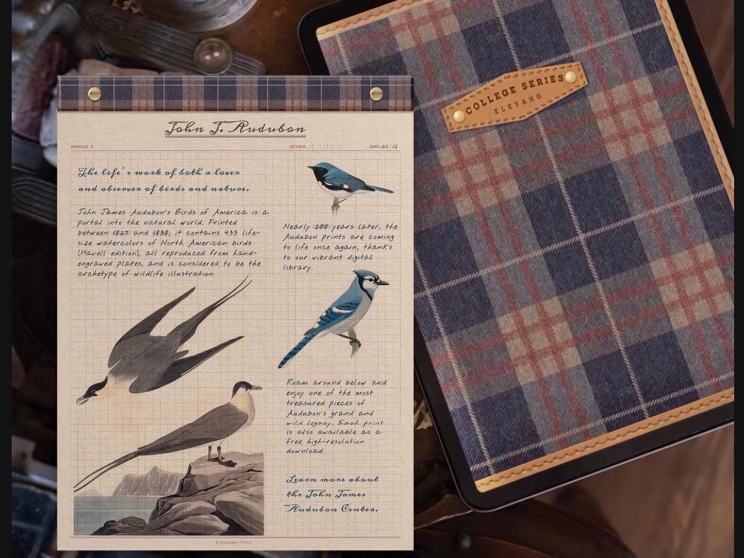 Grid Digital Notebook Bundle for Goodnotes: Cornell & Split Layouts ...