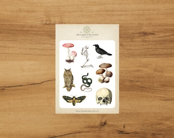Botanische Aufkleber - Dark Academia | Sammelalbum | Schneckenpost | Vintage von Bramblewoods