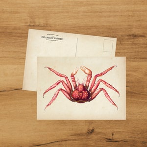 Postkarte mit antikem botanischem Druck Krebs | Schneckenpost | von Bramblewoods