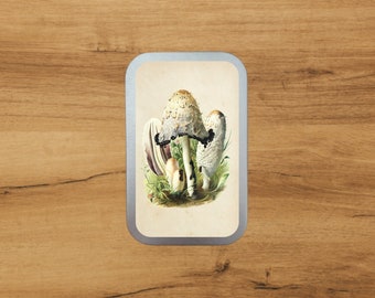 Boîte en aluminium avec impression botanique antique | Encre champignon | Rangement | Emballage par Bramblewoods